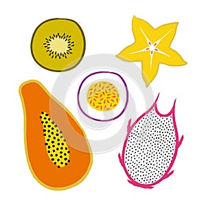 Vector tropical set with exotic sliced Ã¢â¬â¹Ã¢â¬â¹fruits: papaya, kiwi, pitaya, carambola, passion fruit. Trendy summer design